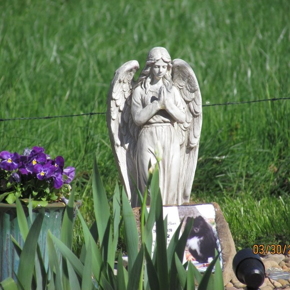 Meet your Posher, Deborah - Picture 1 of 1